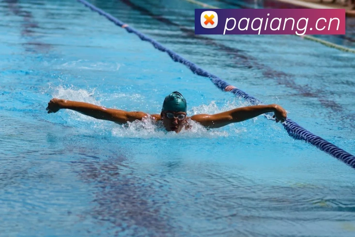 乐竞官网首页登录入口服务体系