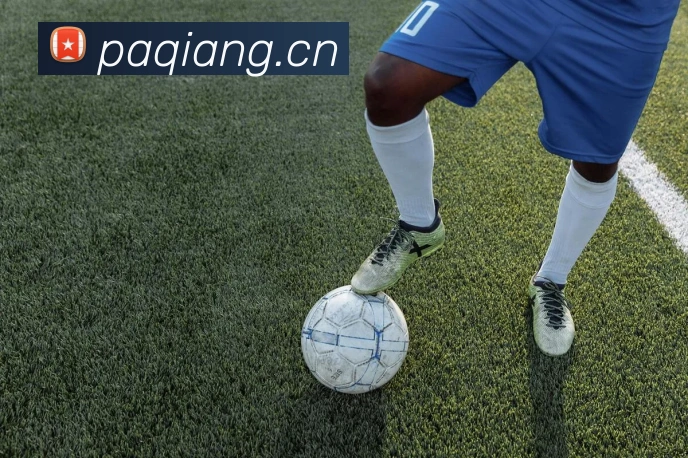 多媒体互动体验